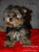 images (2)